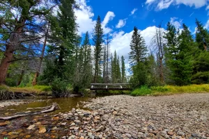 Step off trail to take a shot of the Colorado River and bridge I am about to cross with Get Lost in America in Rocky Mountain National Park