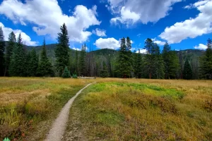 A fairly good size meadow I crossed before reentering the timber with Get Lost in America in Rocky Mountain National Park