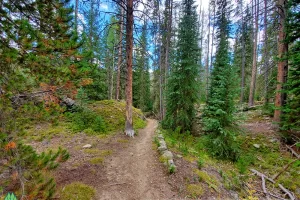 Trail starts it's incline here and I am not really sure where it goes, more interested in the surrounds in Rocky Mountain National Park