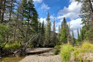 Cut across the meadow to the river