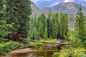 The Meadow, forest and river have a certain wilderness essence to them. Even with campers a few hundred yards away.