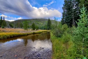 One more fly rejection and I am heading back to camp. Most of the brookies are to small for hook to begin with. Fun all the small, the sight of them is joyous