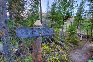 East Meadow Camp site is the first camping site on the East Inlet Trail