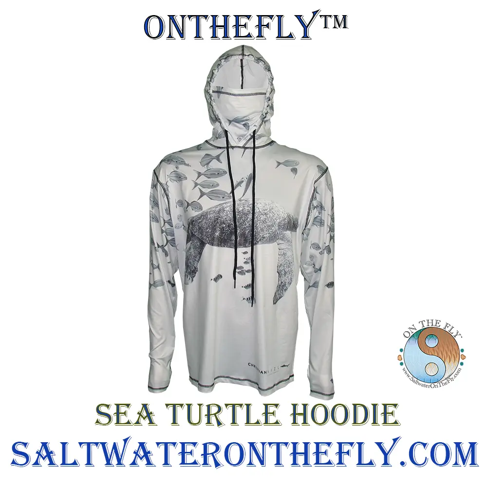 Sea Turtle in the Pacific Ocean Saltwater on the Fly