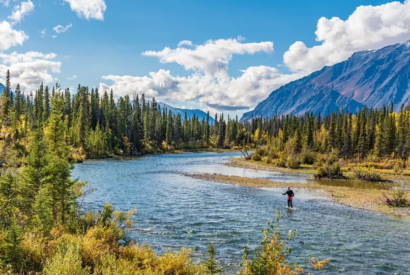 Ultimate Guide to Fly Fishing in Yellowstone National Park