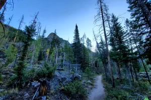 Jagged ridge begins to show it's self on the ascent to Lone Pine Lake in Rocky Mountain National Park.