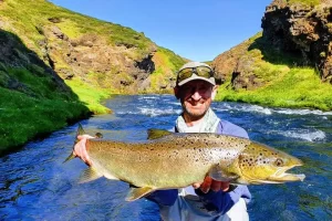 Beautiful pristine rivers of Iceland