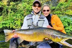 Brown Trout of Iceland