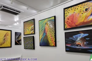 AD Maddox Art Gallery for Great Fly Fishing and Wildlife Art