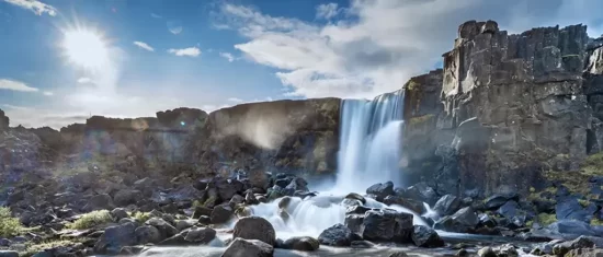 Geological Wonders of Þingvellir National Park. One of my favorite birds to sit and watch. Þingvellir National Park: An Adventure in Iceland's Heart