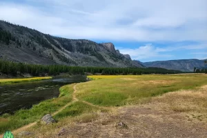 Madison River looking toward West Yellowstone, Montana