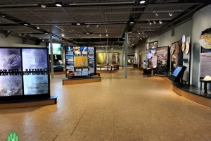 Learn more about the geyser basins and Old Faithful at the museum at Old Faithful in the History of Yellowstone National Park