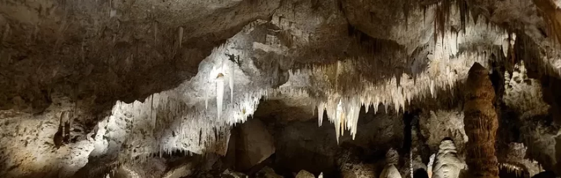 Explore the geological wonders of Carlsbad Caverns National Park. Dive into a world of limestone caves, desert wildlife, and unforgettable adventures!