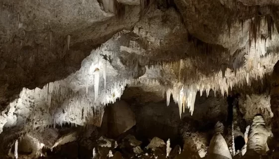 Explore the geological wonders of Carlsbad Caverns National Park. Dive into a world of limestone caves, desert wildlife, and unforgettable adventures!