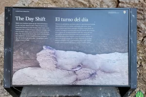 Wonder if this is what we all really look like? Exploring Carlsbad Caverns National Park