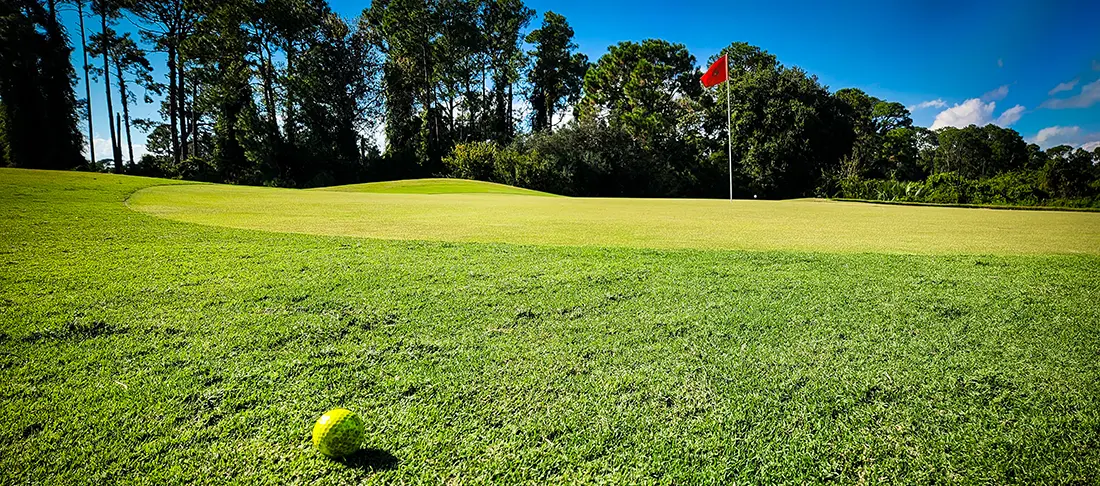 Georgia Golf Courses