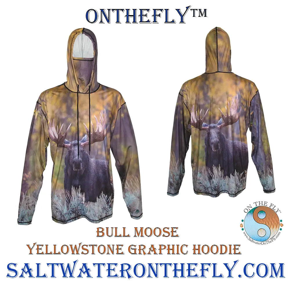 Grand Teton National Park Bull Moose Hoodie Hiking apparel on a graphic hoodie