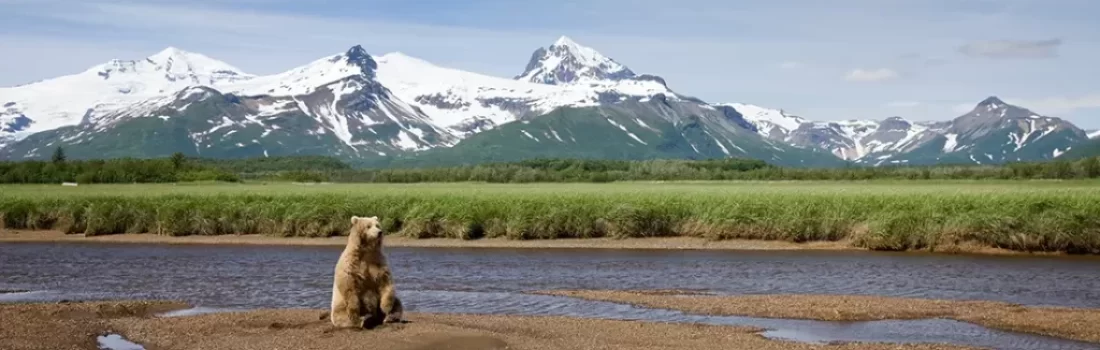 Katmai National Park & Preserve: An Adventurer's Paradise