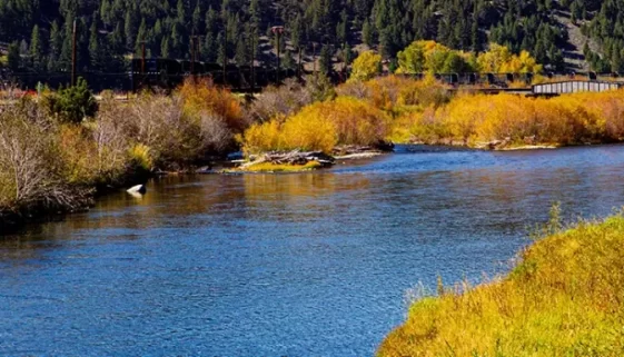 Fly Fish Clark Fork River: Deer Lodge to Paradise MT