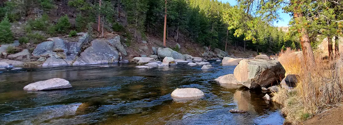 Fly Fish South Platte River Colorado, discovering pristine waters teeming with trout and breathtaking landscapes. Colorado Fly Fishing