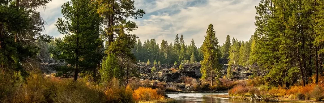 DIY Deschutes River Fly Fishing Headwaters to Columbia River Embarking on a Deschutes River Fly Fishing  journey means gearing up for an adventure of a lifetime.