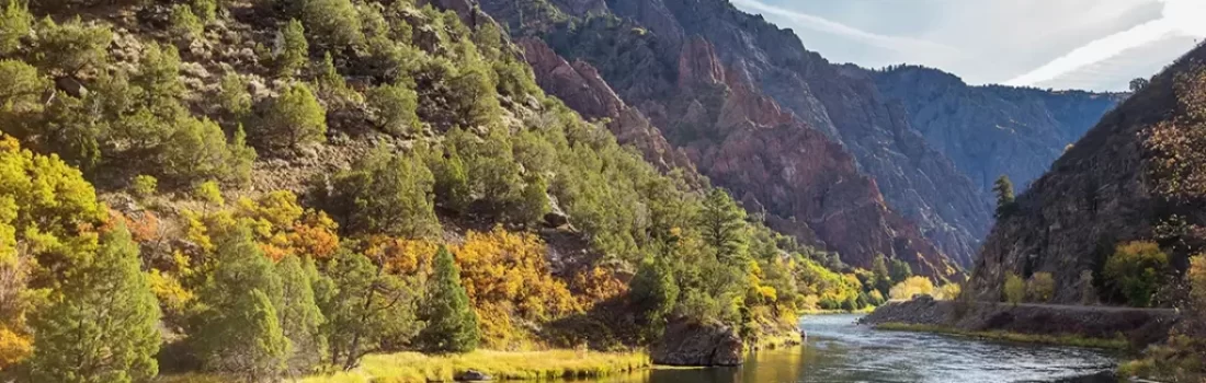 Fly Fish Gunnison River from Almont Colorado to Grand Junction Colorado, and discover the ultimate trout haven in picturesque settings.