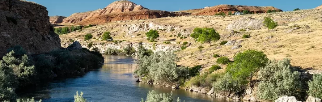 Fly Fishing Bighorn and Wind River Wyoming