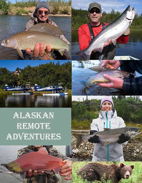 Alaskan Remote Adventures