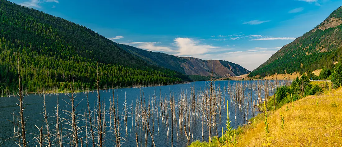Transformative journey of Yellowstone's landscape before and after 1959 Hebgen Lake earthquake - a tale of nature's power.