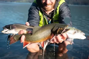 Brook Trout and Rainbow Trout on Fortress Lake