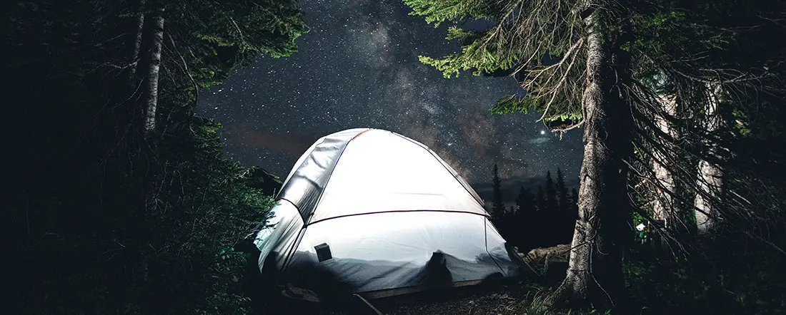 Our Guide Montana's National Forest Campgrounds for unforgettable camping experiences. Create your own Montana Adventure fly fishing hiking
