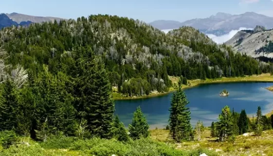 Discover the rugged beauty of hiking Absaroka-Beartooth Wilderness. Explore pristine trails, alpine lakes, stunning vistas in Montana Get Lost in America.