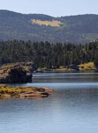Explore the diverse landscapes and recreational activities of Colorado state parks. From hiking to fishing, there's an adventure for everyone