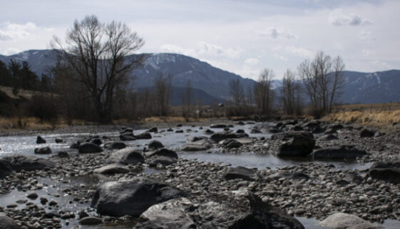 Fly fish Stillwater River Montana, Nye to Yellowstone River, uncovering the rich history of Nye, MT. Surrounding area. Tips, top spots & more