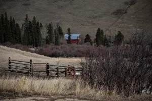 Fly Fishing Stillwater River Montana spring with Get Lost in America -006 copy