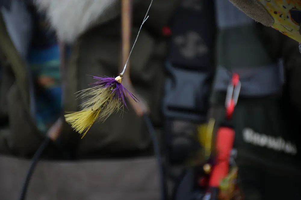 Fly Fish Stillwater River Montana Olive & Purple Flash Woolly Bugger, a favorite.