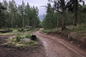 Camping at the south trailhead for Mount Albert. I camped here before leaving at 5 am. the next morning. Get Lost in America