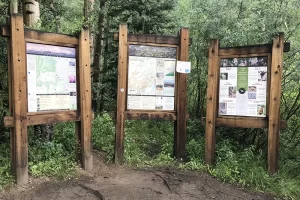 Mount Albert information as well as National Forest. we are just above Twin Lakes, Colorado. Get Lost in America on a 14er.