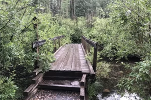 Foot Bridge over creek at south trailhead. Get lost in America