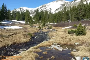 As we reached the lower meadow there were patches of bare ground. Get Lost in America