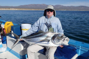 Rooster Fish fly fishing Baja. Get Lost in America