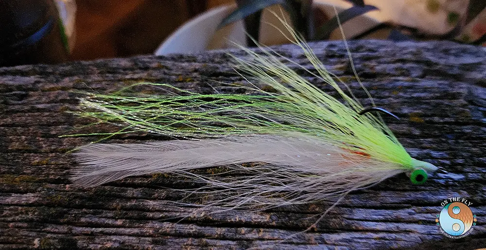 Clouser minnow for bass fly fishing