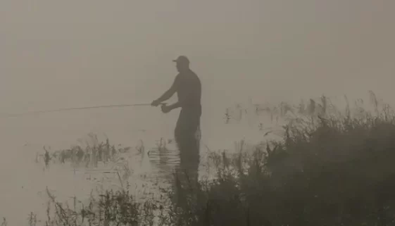 Our Guide to DIY Arkansas White River Fly Fishing with expert tips on gear, spots, and techniques for trophy catches.