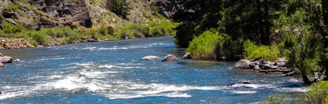 Embark on a fly fishing journey along the Arkansas River from its headwaters to Canon City, Colorado. Discover top spots, flies, tips