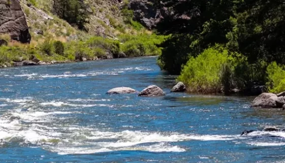 Embark on a fly fishing journey along the Arkansas River from its headwaters to Canon City, Colorado. Discover top spots, flies, tips