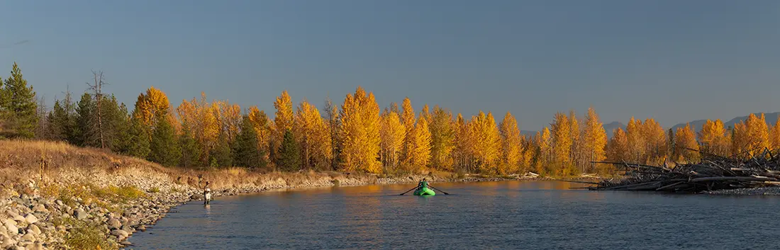 Our guide to fly fishing North Fork and Middle Fork Flathead River, covering top spots, techniques, best seasons, conservation efforts.