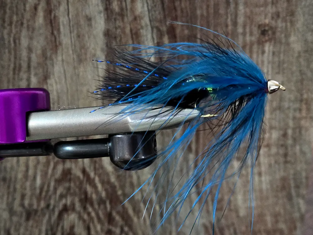 trout spey fly black and blue intruder heavily dressed