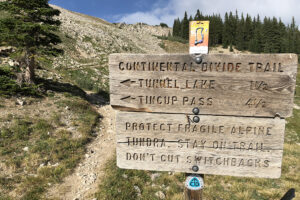 50 yards of so from the East Alpine Tunnel Portal, is the junction of the Continental Divide and Colorado Trails. Get Lost in America