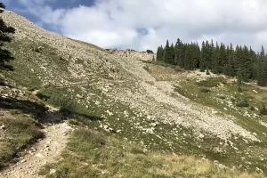 Up the trail to the ridge and inter-alpine hiking. Get Lost in America