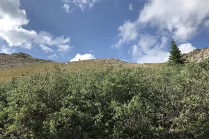 Through hiker on the trail above. Continental Divide Trail Get Lost in America.